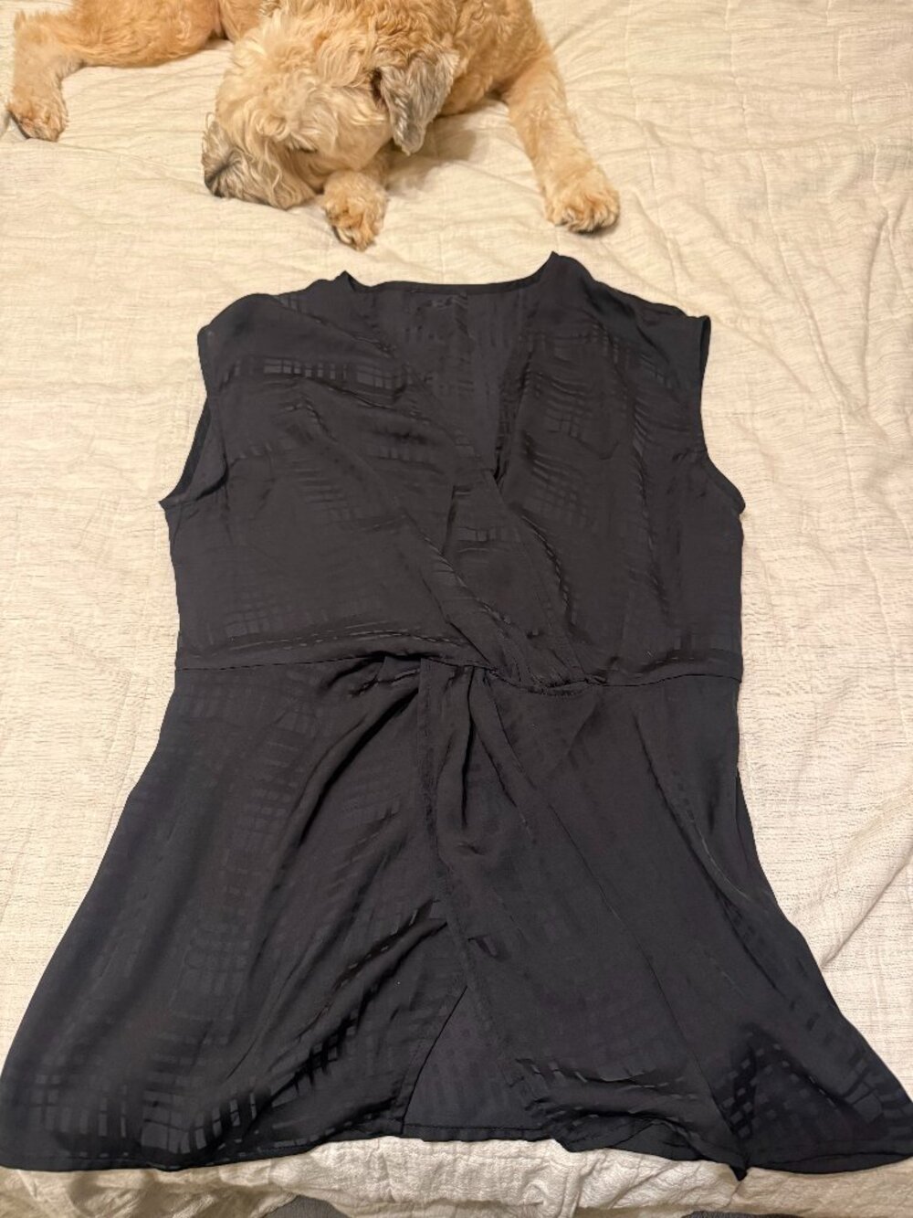 Lightweight Black Silky Sleeveless Blouse (Nordstrom)